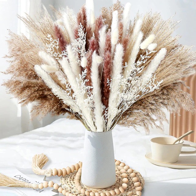 Flowers, Fresh Flowers | Dried Pampas Grass